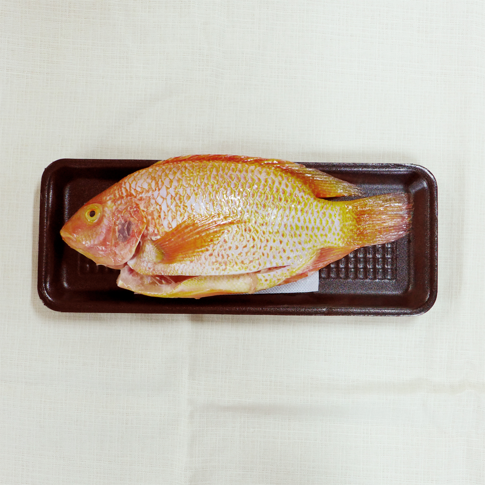 【泳淐漁產】國產冷凍尼羅紅魚 (每尾約350g)